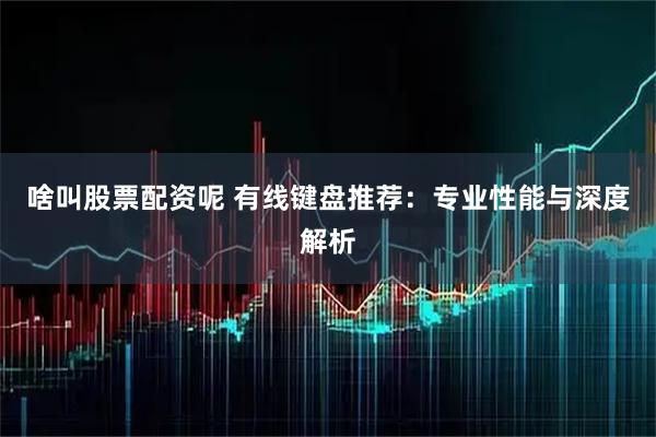 啥叫股票配资呢 有线键盘推荐：专业性能与深度解析