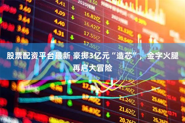 股票配资平台最新 豪掷3亿元“造芯”，金字火腿再启大冒险