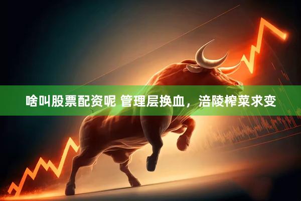 啥叫股票配资呢 管理层换血，涪陵榨菜求变