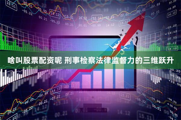 啥叫股票配资呢 刑事检察法律监督力的三维跃升