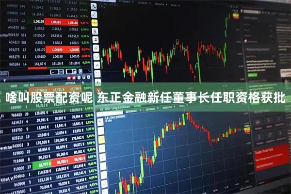 啥叫股票配资呢 东正金融新任董事长任职资格获批
