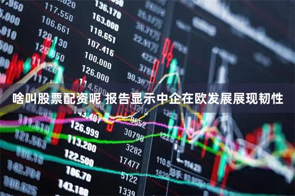 啥叫股票配资呢 报告显示中企在欧发展展现韧性
