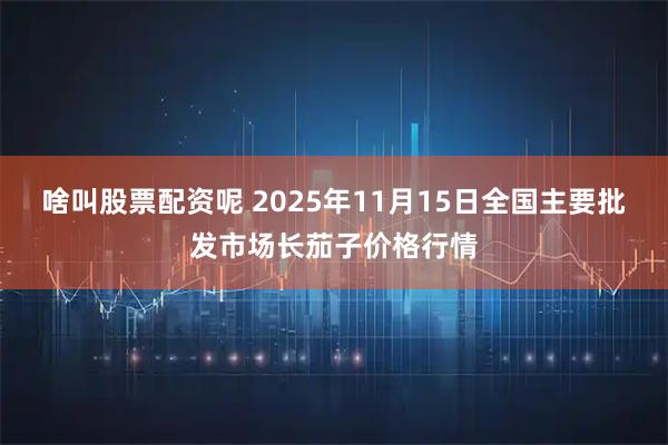 啥叫股票配资呢 2025年11月15日全国主要批发市场长茄子价格行情