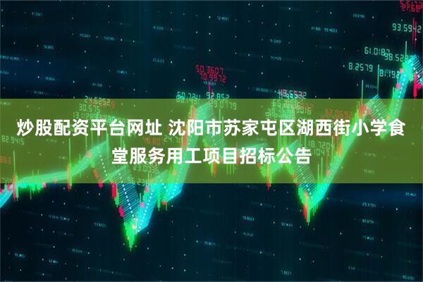 炒股配资平台网址 沈阳市苏家屯区湖西街小学食堂服务用工项目招标公告