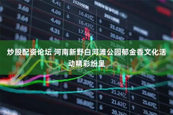 炒股配资论坛 河南新野白河滩公园郁金香文化活动精彩纷呈