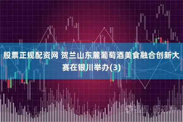 股票正规配资网 贺兰山东麓葡萄酒美食融合创新大赛在银川举办(3)
